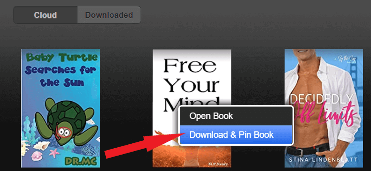 amazon download pin book